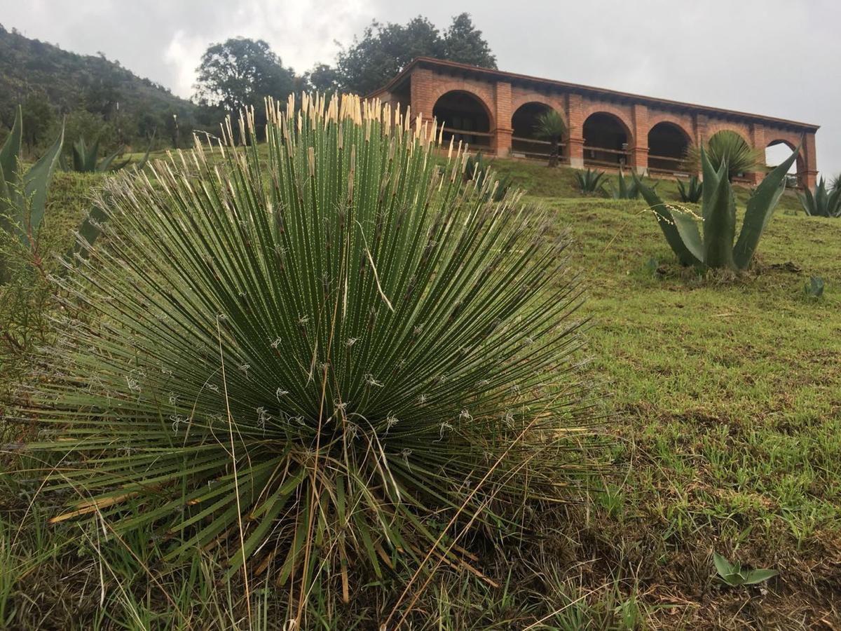 Rancho Escondido Casa Goyri Hotell Tlaxco Eksteriør bilde